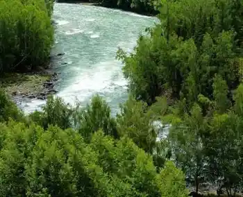 与世隔绝的喀纳斯,图十四