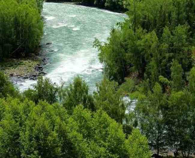 与世隔绝的喀纳斯,图十四