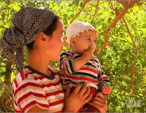 新疆旅游去沙漠看胡杨