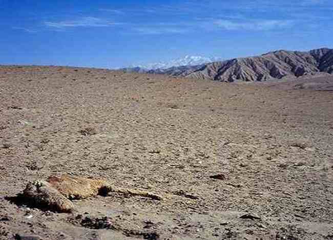 世界最高的“生命禁区”,图三