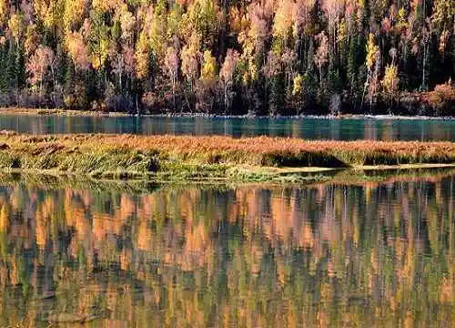 喀纳斯最靓丽的风景线