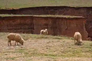 新疆自驾游,图六