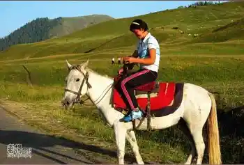 新疆旅游去沙漠看胡杨,图十