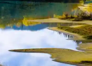 喀纳斯最美的风景线,图十三