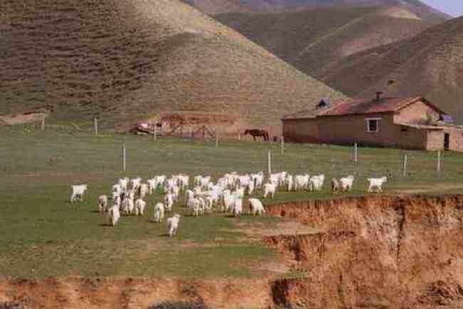 新疆自駕游,圖四