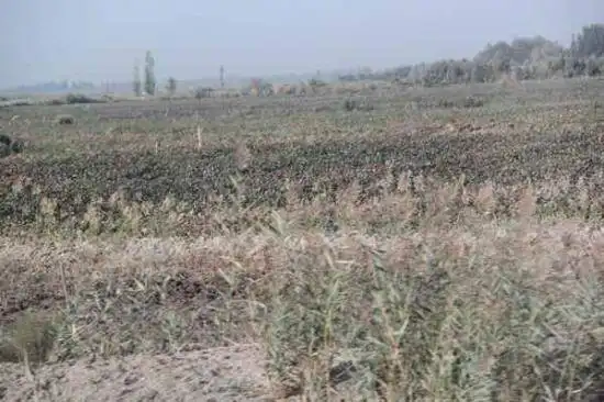 新疆旅游之南疆六日游（一）