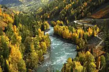 带你进入多彩的喀纳斯,图五