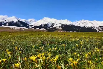 雨中自驾游伊犁河