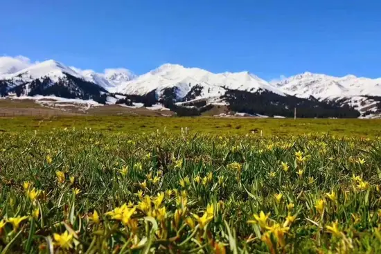 雨中自驾游伊犁河