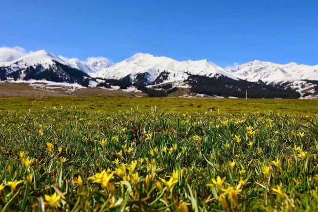 雨中自驾游伊犁河