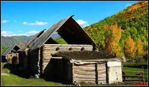 陶醉喀纳斯流连忘返——拾掇美丽