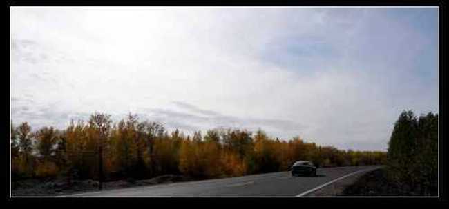 新疆之旅--喀纳斯,图四