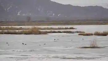 新疆自驾之旅四,图