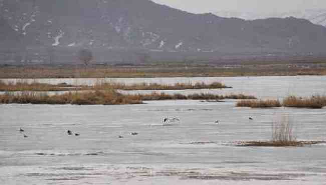 新疆自驾之旅四,图