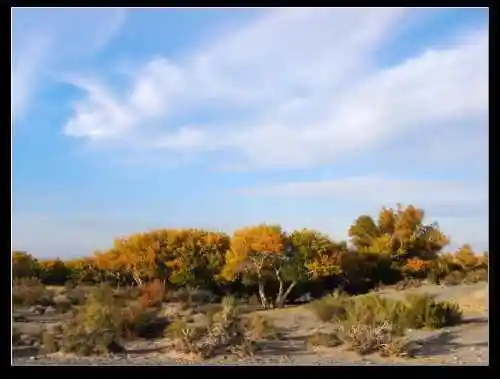 新疆之旅--喀纳斯