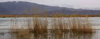 新疆自驾之旅四,图