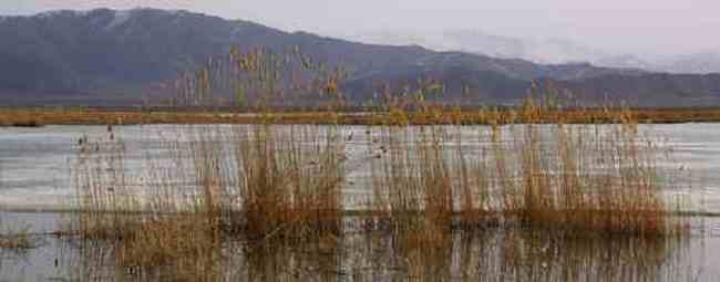 新疆自驾之旅四,图