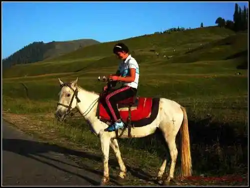 我拍的草原和少女那拉提