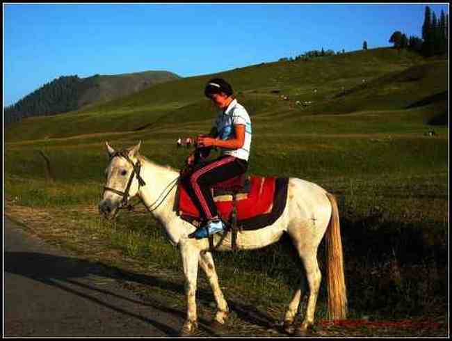 我拍的草原和少女那拉提,图五