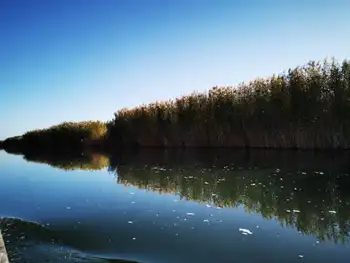 深秋看胡杨慢游库尔勒火车两日三天之莲花湖