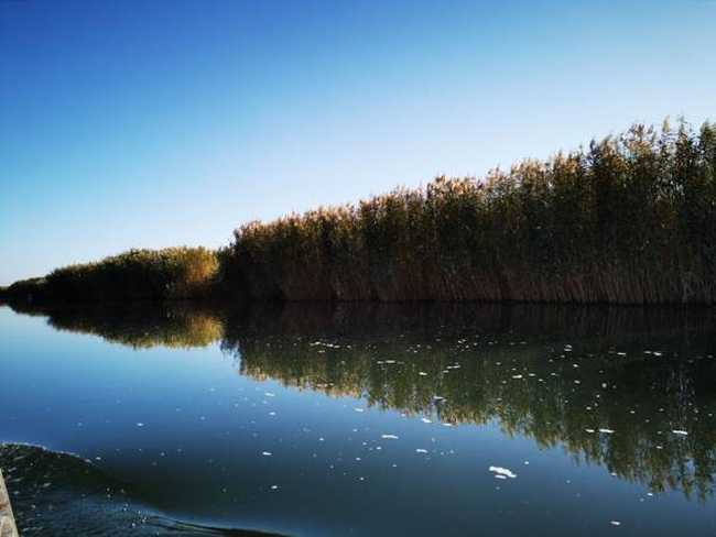 深秋看胡杨慢游库尔勒火车两日三天之莲花湖