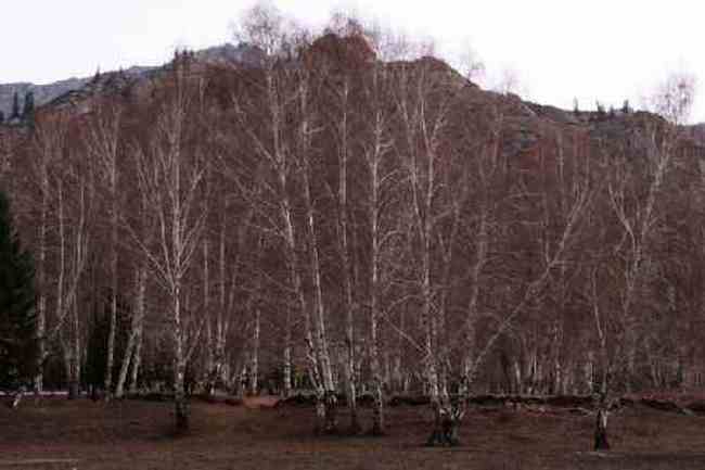 新疆自驾之旅四,图十九