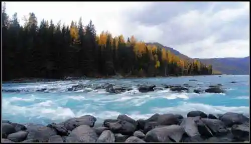 新疆之旅--喀纳斯