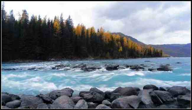 新疆之旅--喀纳斯,图十二