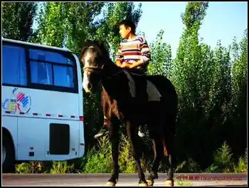 伊犁河·塞外江南·伊犁人——伊犁印象,图六