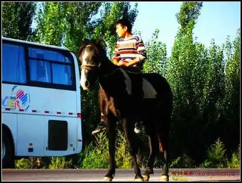 伊犁河·塞外江南·伊犁人——伊犁印象