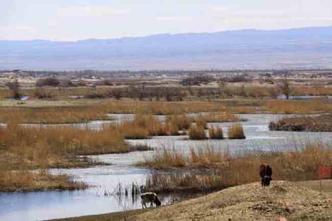 新疆自驾之旅五,图