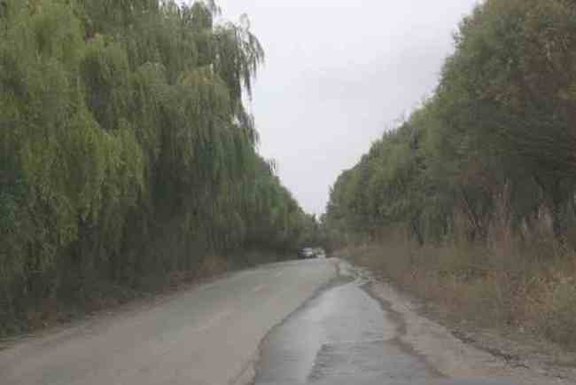 新疆南疆六日游续(六),图九