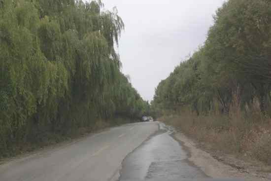 新疆南疆六日游续(六）,图九