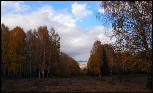 神的自留地--冷暖色的禾木,图七