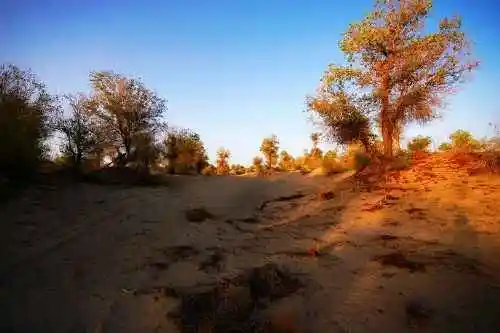 我们站在火焰山前