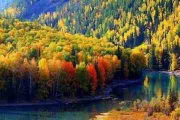 最想回忆的喀纳斯-红叶飘飞的日子,图十