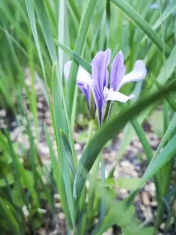 感天地始交 看万物并秀 美丽乌鲁木齐市一瞥