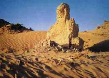 穿越塔克拉玛干 “死亡之海”中感受生命,图十二