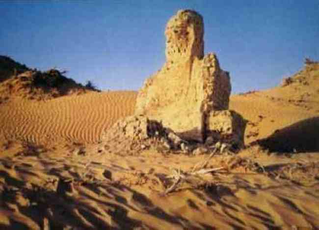 穿越塔克拉玛干 “死亡之海”中感受生命,图十二