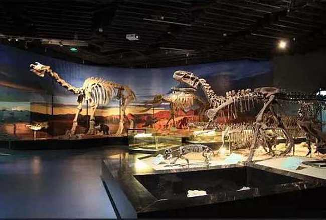 吐魯番鄯善沙漠兩日游記,圖十八