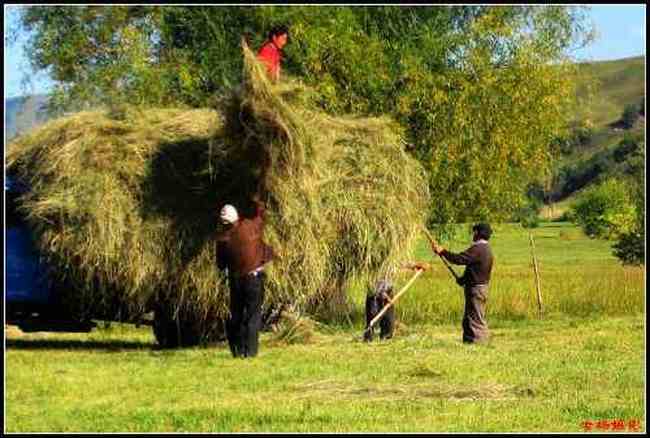 有太阳绿草的地方——那拉提草原,图三