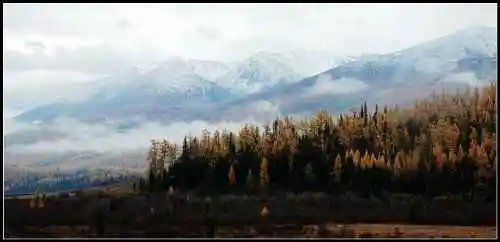 新疆之旅--喀纳斯