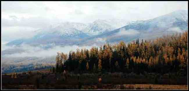 新疆之旅--喀纳斯,图十三