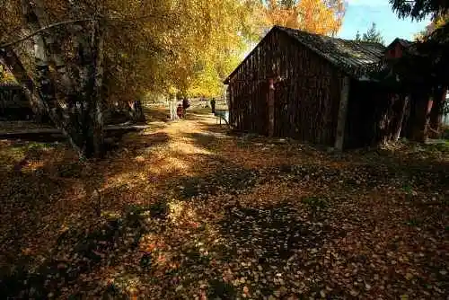 北疆之行--人间的天堂