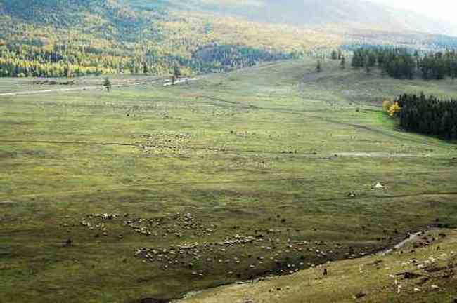 白哈巴西边的太阳落山岗,图三