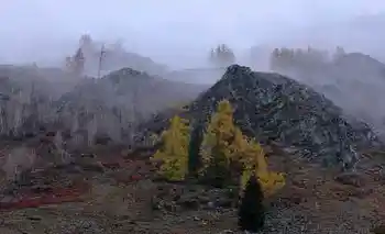 北疆之行--人间的天堂,图五