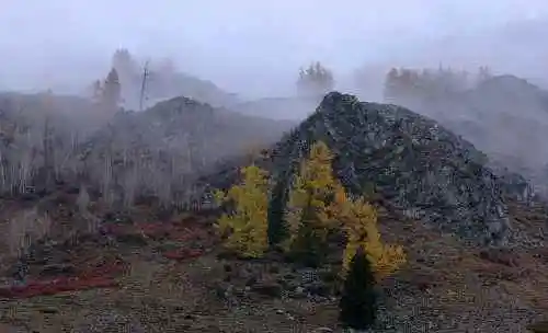 北疆之行--人间的天堂