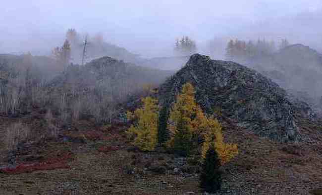 北疆之行--人间的天堂,图五