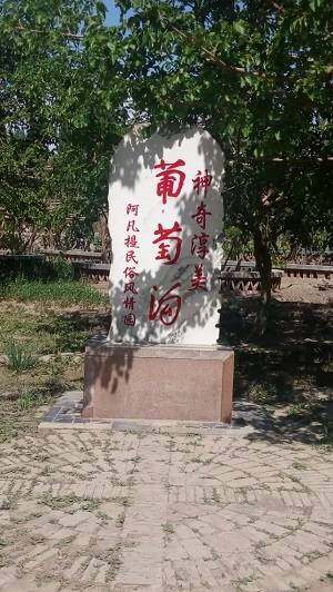 火州吐鲁番之行,图四