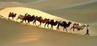 新疆乌市第一印象：果然“无故人”